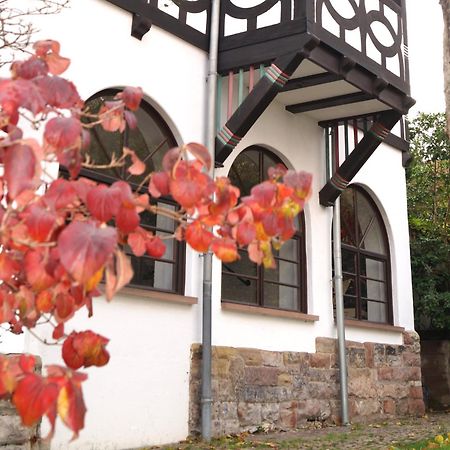 Vila Historisches Haus Am Triller Saarbrücken Exteriér fotografie