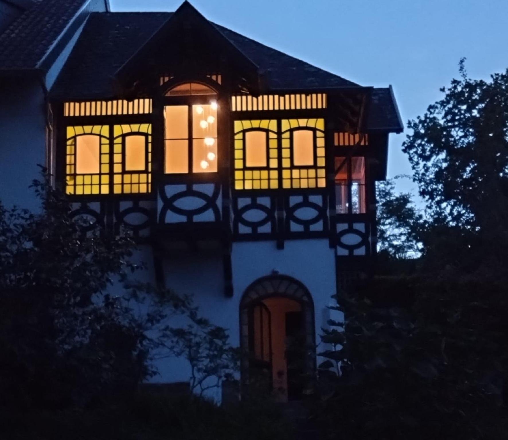 Vila Historisches Haus Am Triller Saarbrücken Exteriér fotografie